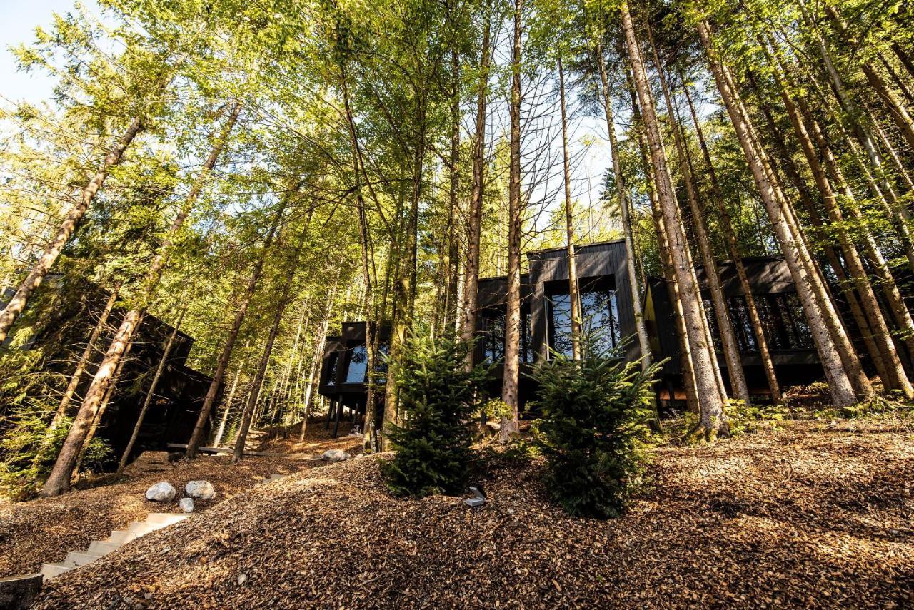 Hotel Fischerwirt Natur Waldspa Faistenau Extérieur photo