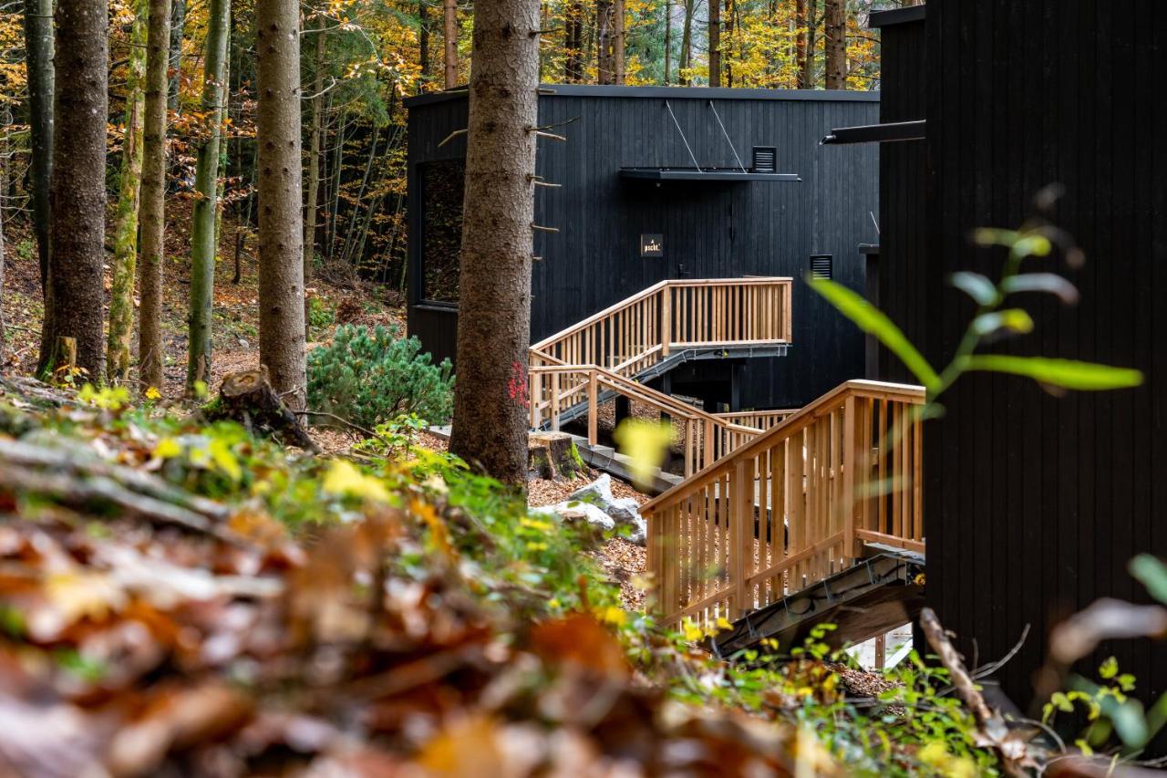 Hotel Fischerwirt Natur Waldspa Faistenau Extérieur photo
